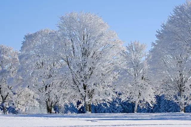 Les plus belles saisons pour visiter les beaux pays