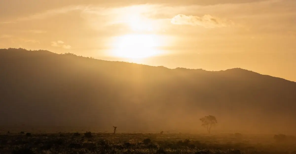 Les parcs nationaux à ne pas manquer en Afrique