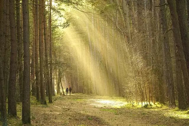 Les plus beaux pays à découvrir pour un voyage inoubliable
