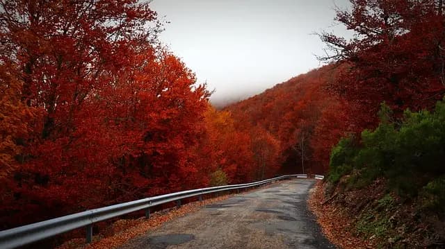 Les plus beaux pays à visiter en automne : une sélection unique