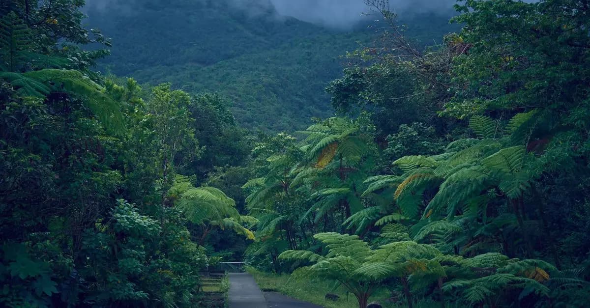 Le Costa Rica et sa biodiversité exceptionnelle