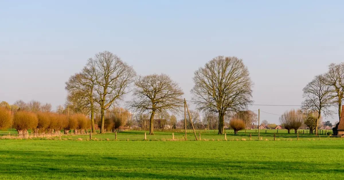 Pourquoi les beaux pays sont essentiels pour votre bien-être