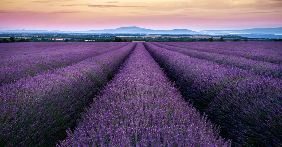 À la découverte des paysages spectaculaires des beaux pays