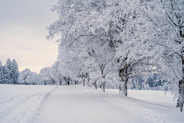 Les plus belles saisons pour visiter les beaux pays