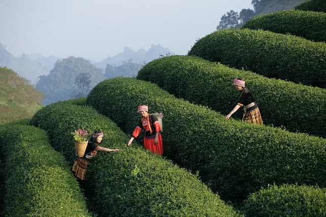 Les plus belles expériences à vivre dans les beaux pays